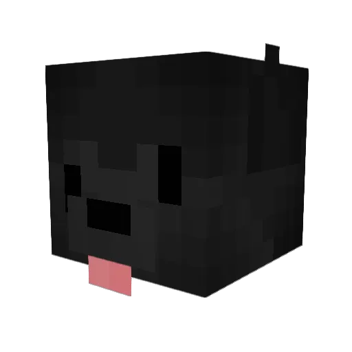 w5x Minecraft avatar head, 3D render