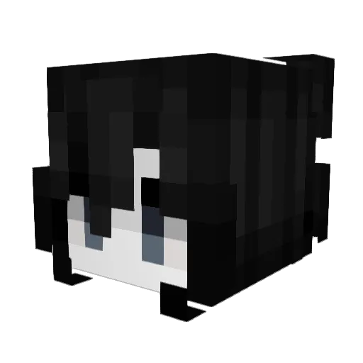 w6_2 Minecraft avatar head, 3D render