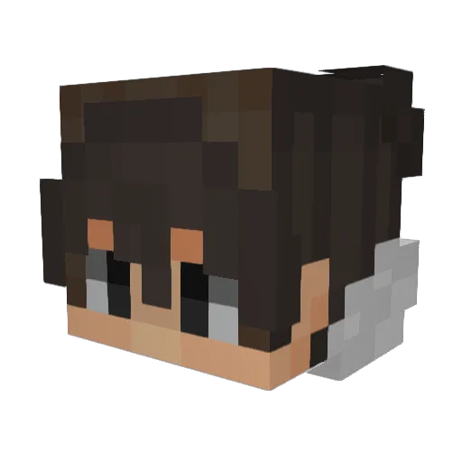 w6gd Minecraft avatar head, 3D render