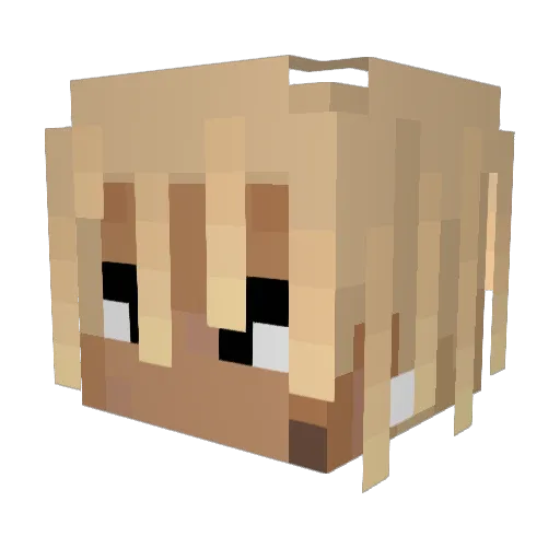w7b8 Minecraft avatar head, 3D render