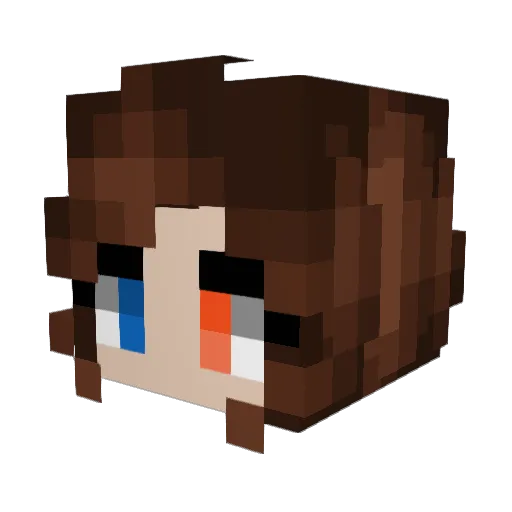 wCdt_ Minecraft avatar head, 3D render