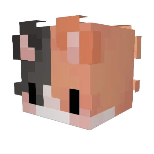 wFanta Minecraft avatar head, 3D render