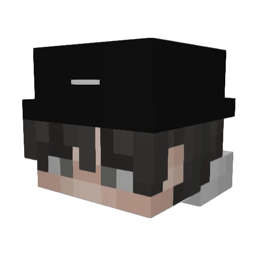 wHoHo Minecraft avatar head, 3D render