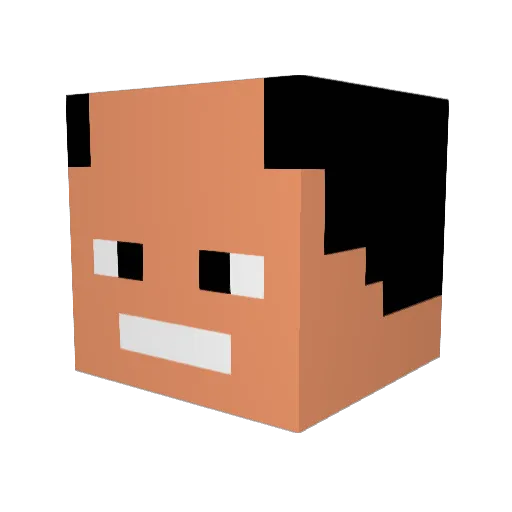 wLzz_ Minecraft avatar head, 3D render
