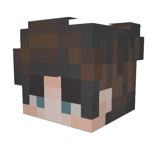 wMeLonSaucEw Minecraft avatar head, 3D render