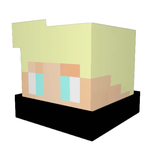 wNIX Minecraft avatar head, 3D render
