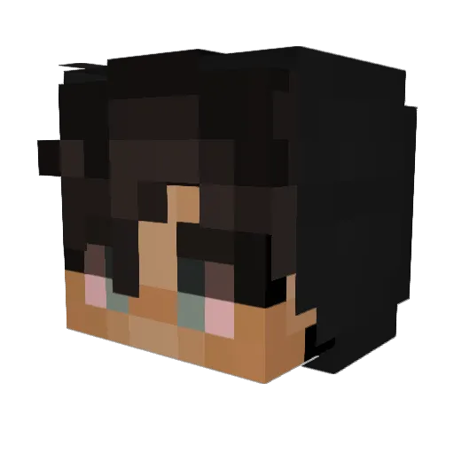 wNoah Minecraft avatar head, 3D render