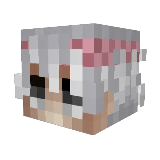 wNowah Minecraft avatar head, 3D render