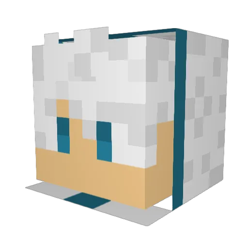 wPolar11 Minecraft avatar head, 3D render