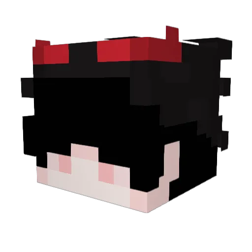wRomain Minecraft avatar head, 3D render