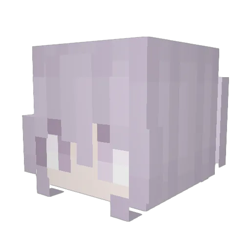 wSalmonzw Minecraft avatar head, 3D render