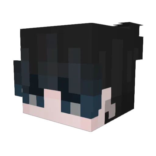 wSins Minecraft avatar head, 3D render