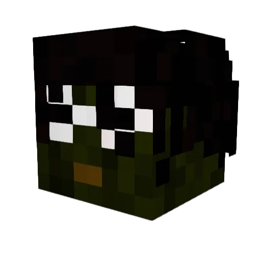 wSkyzEw Minecraft avatar head, 3D render