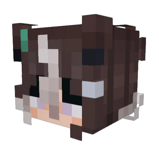wSleek Minecraft avatar head, 3D render