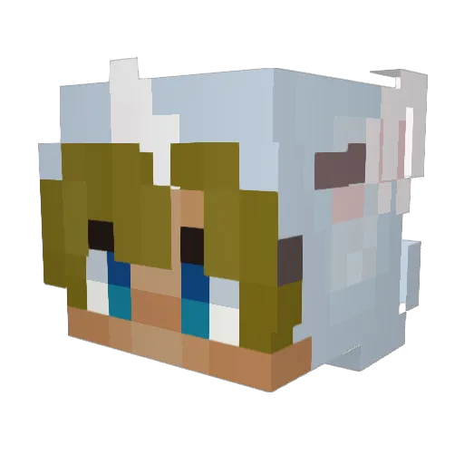wZ0R0 Minecraft avatar head, 3D render