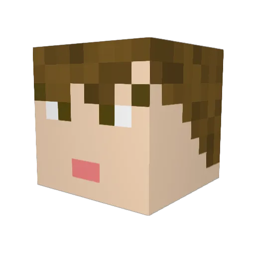 w_RUSTY_w Minecraft avatar head, 3D render
