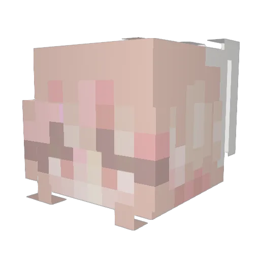 w_arubi_w Minecraft avatar head, 3D render