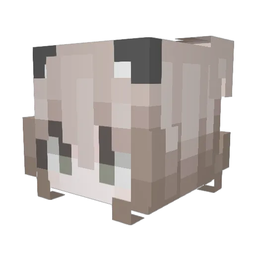 w_h Minecraft avatar head, 3D render