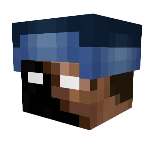 w_i_n Minecraft avatar head, 3D render