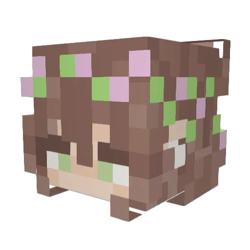 w_kimmy Minecraft avatar head, 3D render