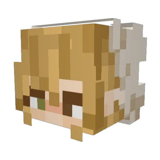 w_tapYT Minecraft avatar head, 3D render