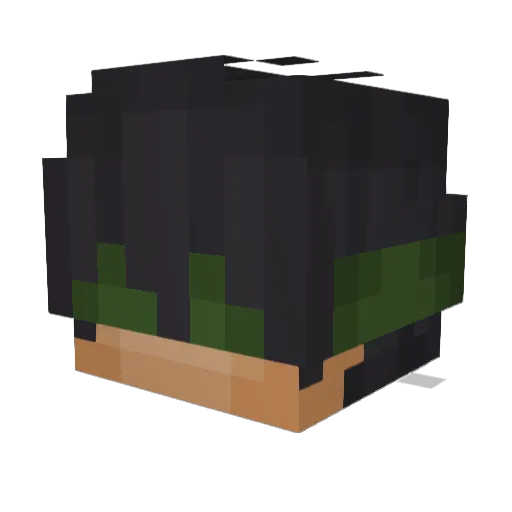 w_tyler_w Minecraft avatar head, 3D render