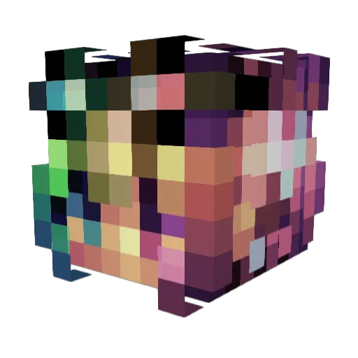 wa1lmer0 Minecraft avatar head, 3D render
