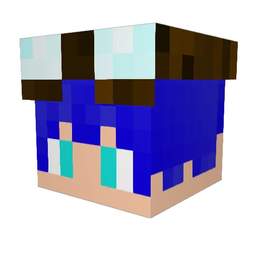 wa2tyan Minecraft avatar head, 3D render