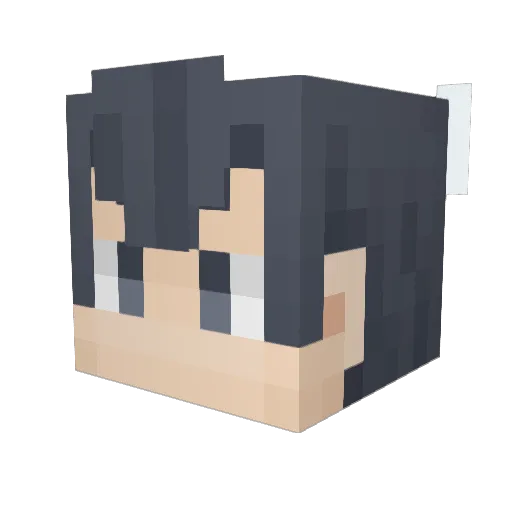 wa56atr Minecraft avatar head, 3D render