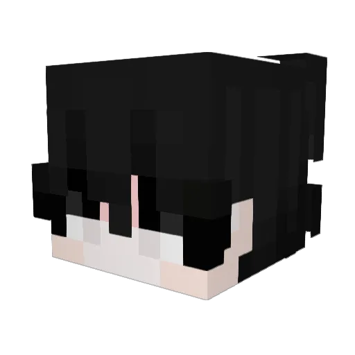 wa__ Minecraft avatar head, 3D render