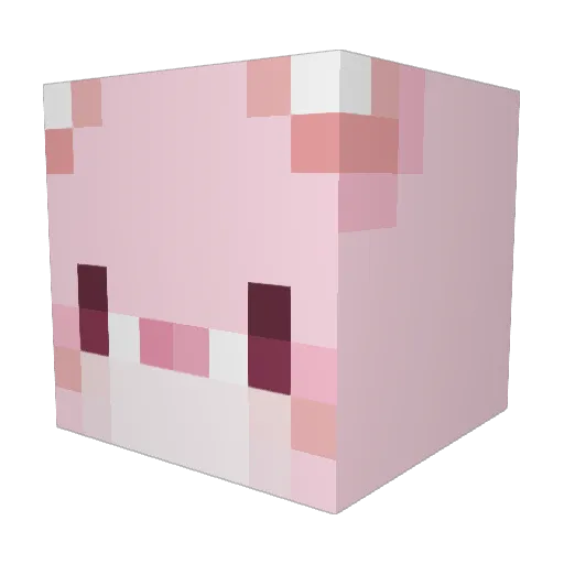wa_r_r Minecraft avatar head, 3D render