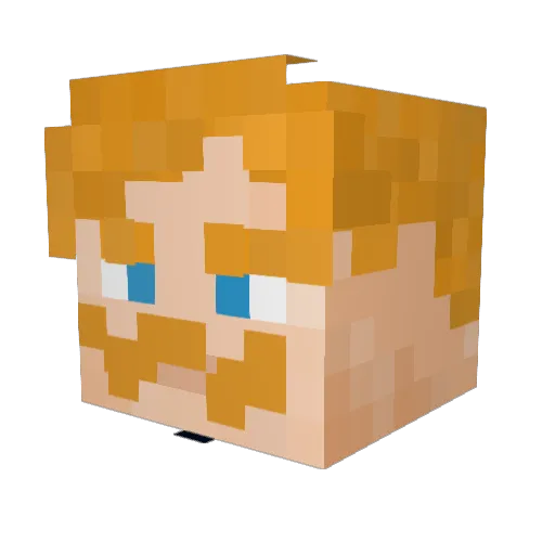 waaka Minecraft avatar head, 3D render