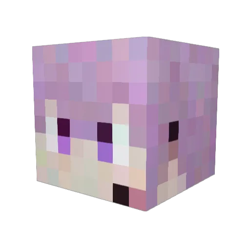 wabiGOTA Minecraft avatar head, 3D render
