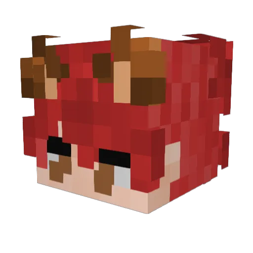 waboointhestars Minecraft avatar head, 3D render