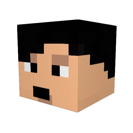 wachet Minecraft avatar head, 3D render