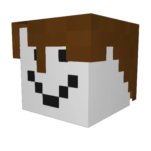 wachol Minecraft avatar head, 3D render