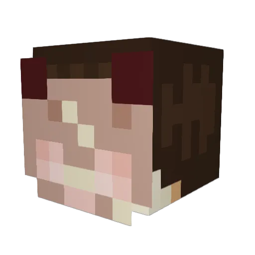wacklemons Minecraft avatar head, 3D render
