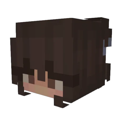wacksushi Minecraft avatar head, 3D render