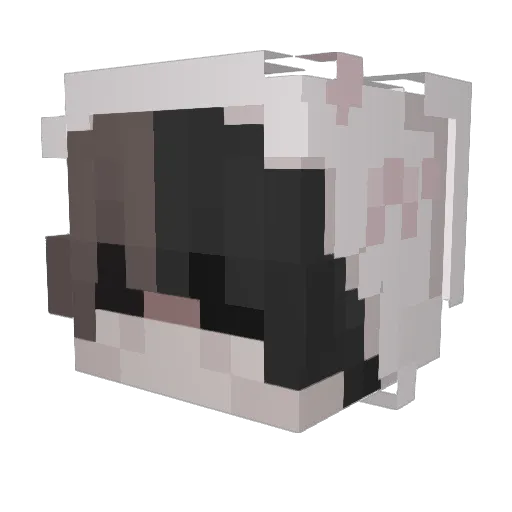 wackusbongus Minecraft avatar head, 3D render