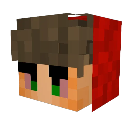 wackybaccy Minecraft avatar head, 3D render