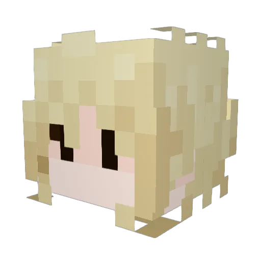 wackyjenny Minecraft avatar head, 3D render