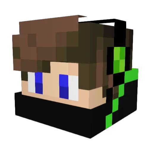 wackylion11 Minecraft avatar head, 3D render