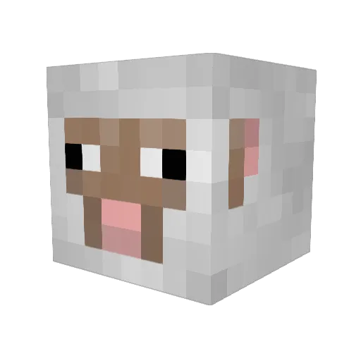 wackypat Minecraft avatar head, 3D render