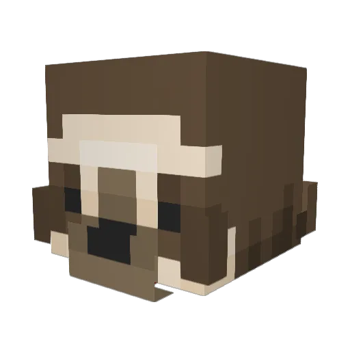 wackysloth Minecraft avatar head, 3D render