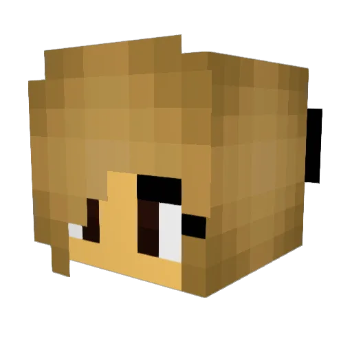 wackywild09 Minecraft avatar head, 3D render