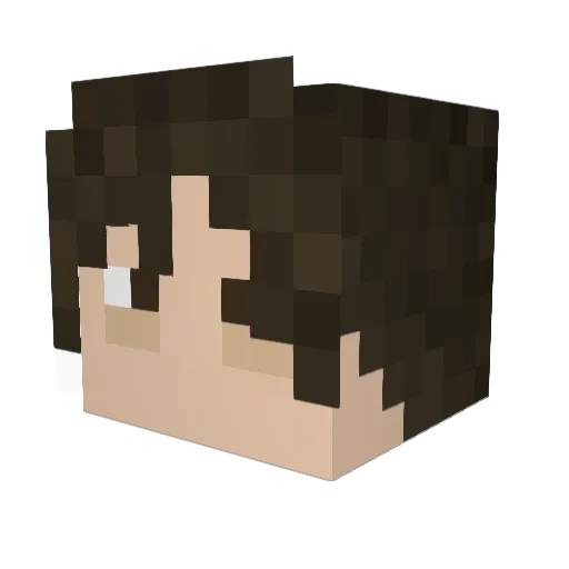 wackywildoak Minecraft avatar head, 3D render