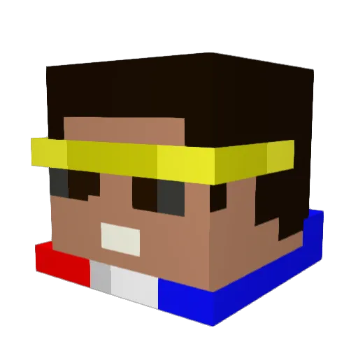 wacup8 Minecraft avatar head, 3D render