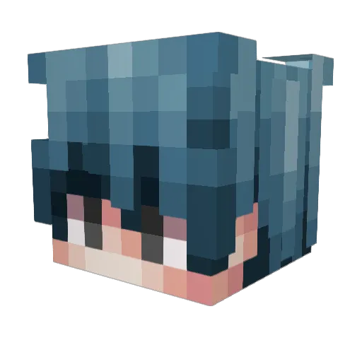 waddles192 Minecraft avatar head, 3D render
