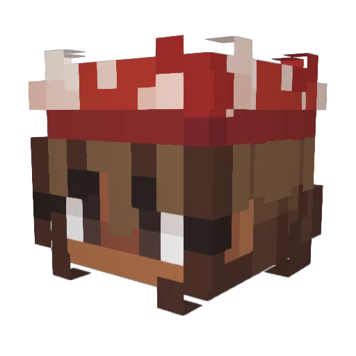 waddlewoddle Minecraft avatar head, 3D render