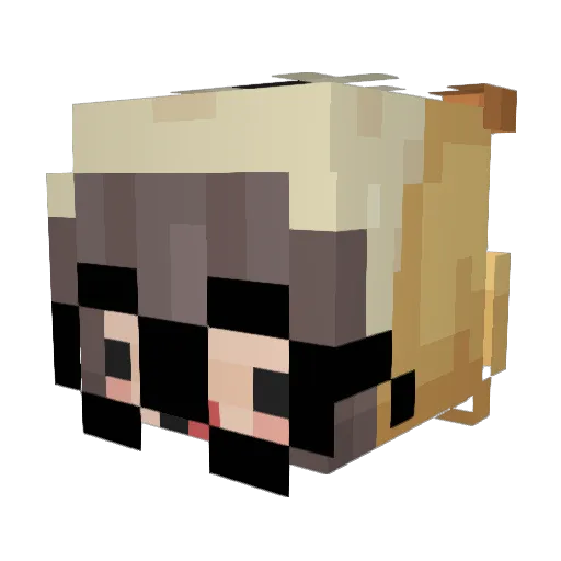 wadefut Minecraft avatar head, 3D render